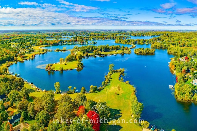 7519 9th St Unit 311, Canadian Lakes, MI 49346 - drone / aerial view of a large body of water and a forest