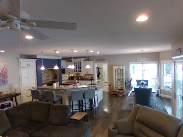 living room with ceiling fan and dark hardwood / wood-style floors