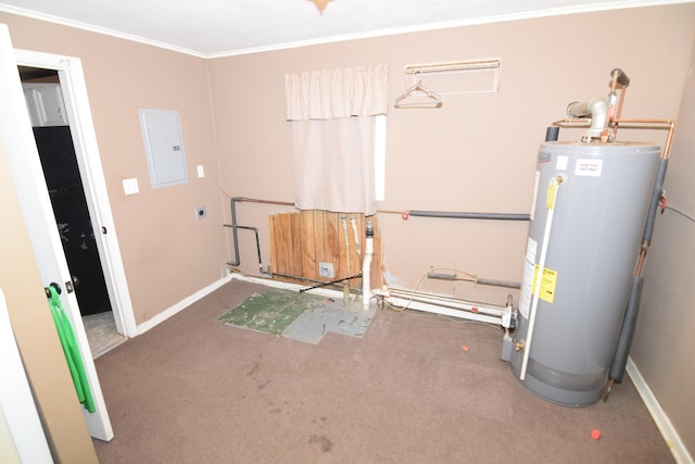 utility room with electric panel and water heater