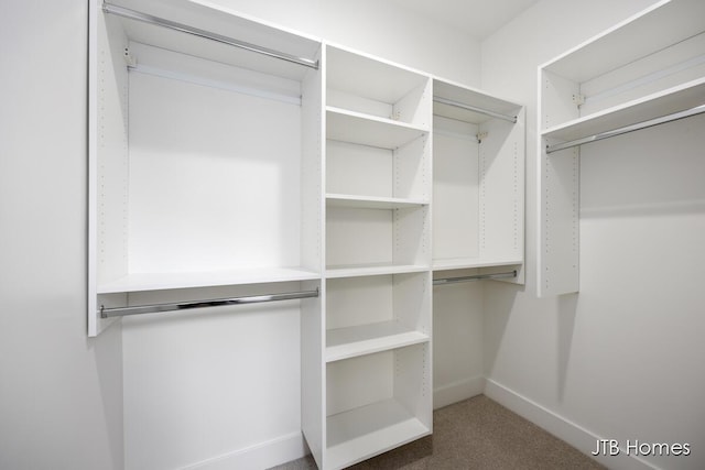 spacious closet featuring carpet flooring