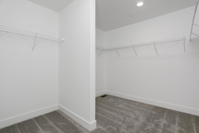 walk in closet with carpet