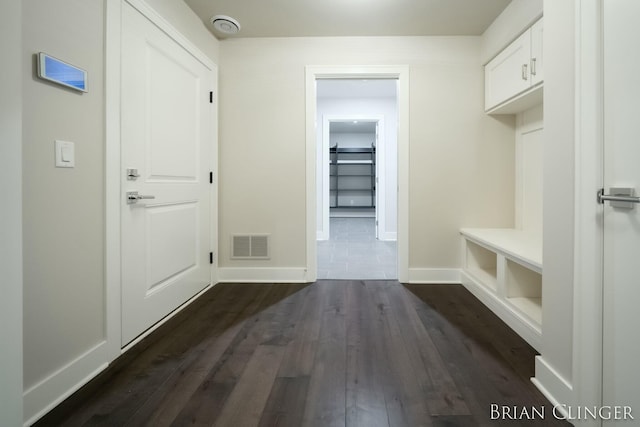 mudroom featuring dark wood-type flooring