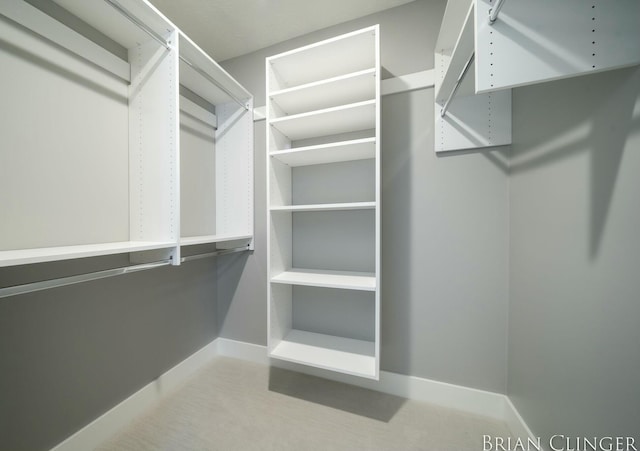 view of walk in closet