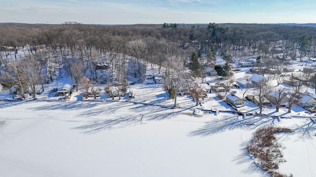 11280 Patterson Lake Dr, Pinckney MI, 48169 land for sale