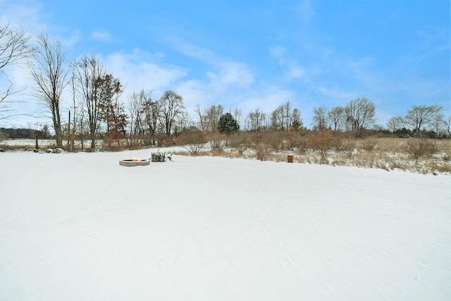 view of yard covered in snow