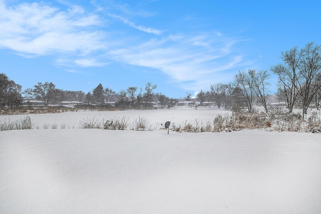 view of snowy yard