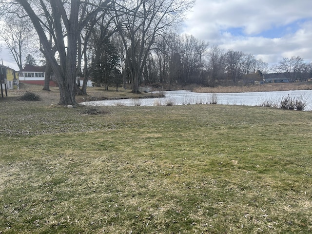 view of yard with a water view