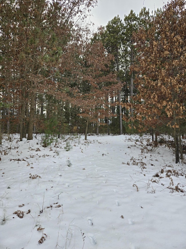 view of snow covered land