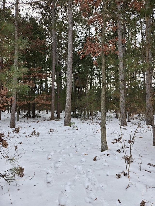 view of snowy view