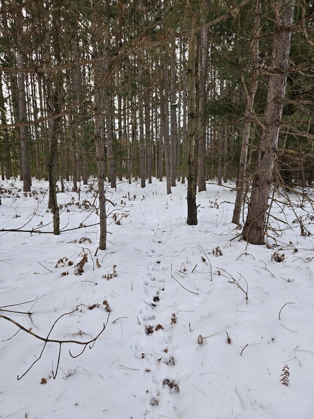 view of snowy landscape