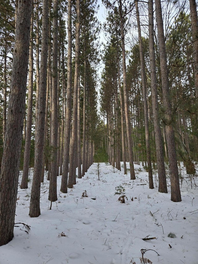 view of snow covered land