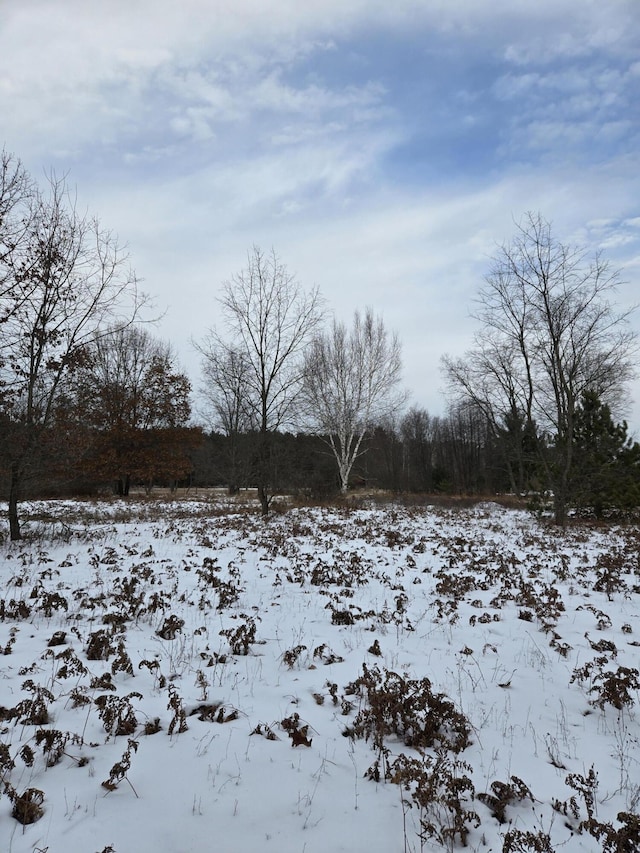 view of snowy yard