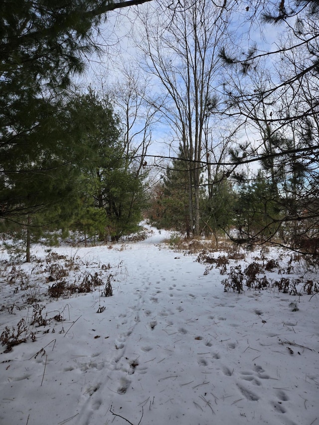 view of snowy landscape