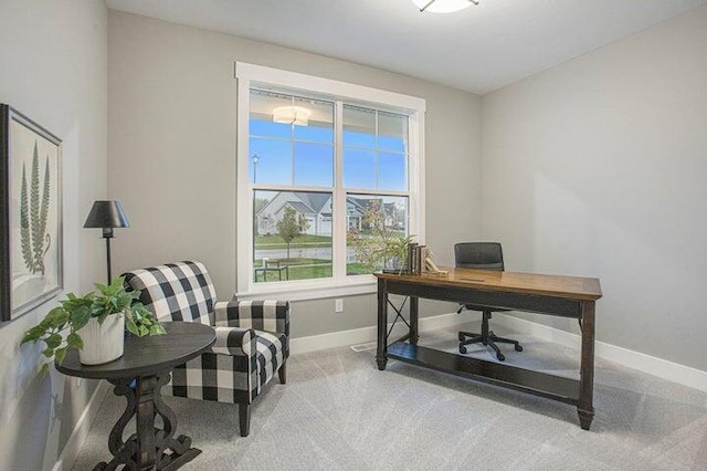 home office with carpet flooring