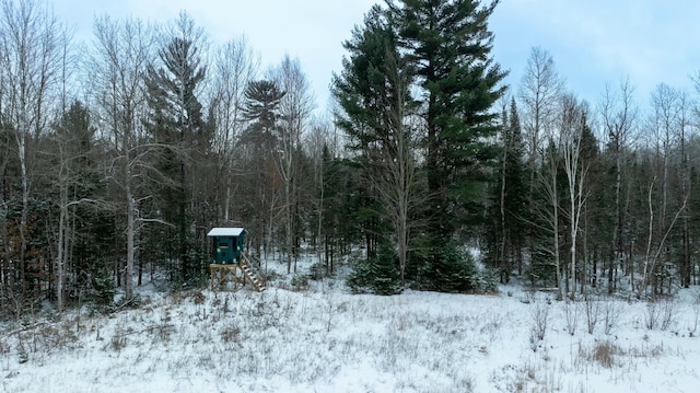 view of snowy landscape