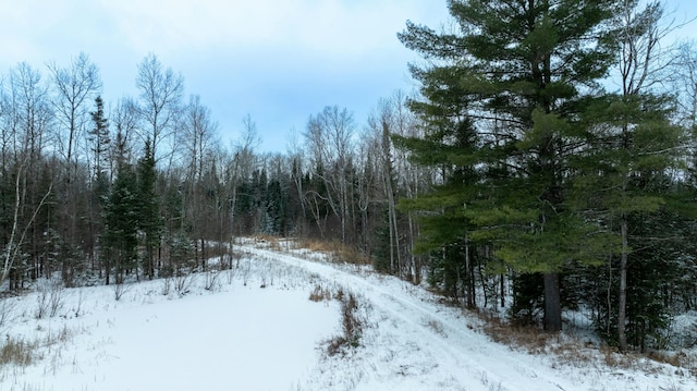 view of snowy landscape