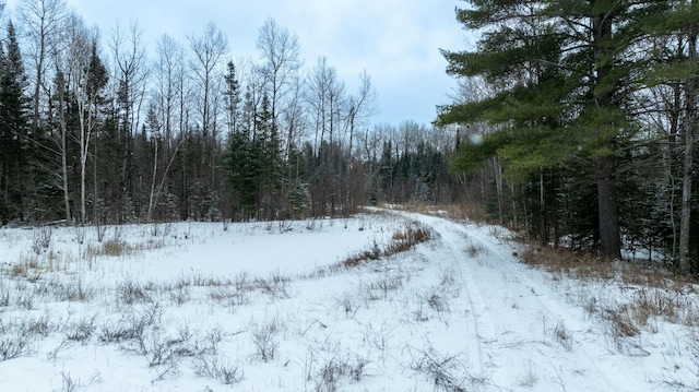 view of snowy landscape