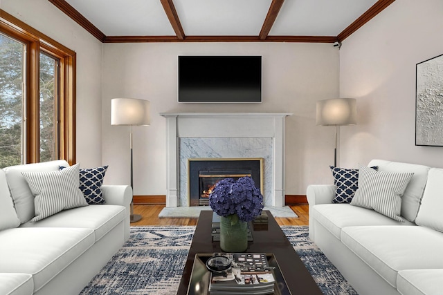 living room with a fireplace and hardwood / wood-style flooring