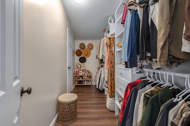 walk in closet featuring dark hardwood / wood-style flooring