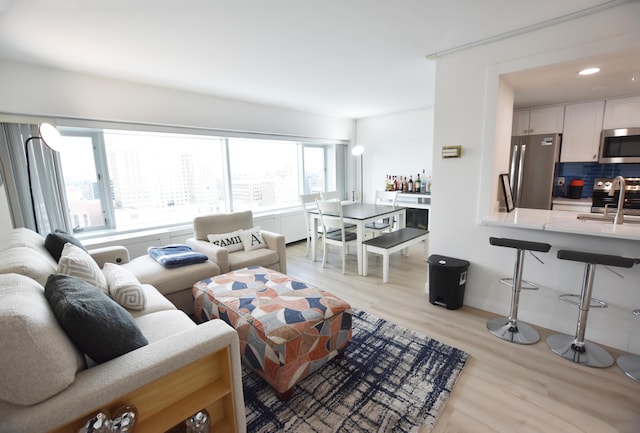 living room featuring light hardwood / wood-style flooring and sink