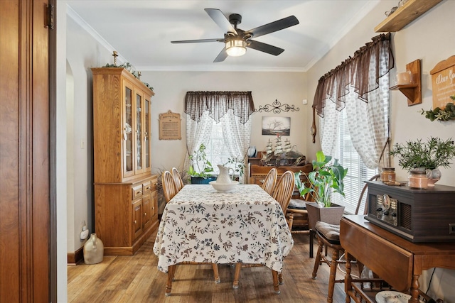 dining space with ceiling fan, light wood-type flooring, and crown molding