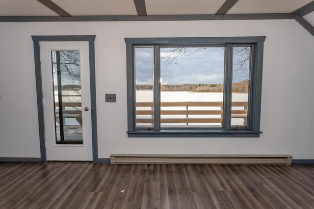 doorway to outside featuring a wealth of natural light, dark hardwood / wood-style floors, and a baseboard radiator