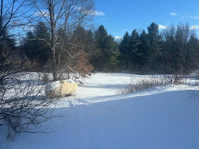 view of yard layered in snow