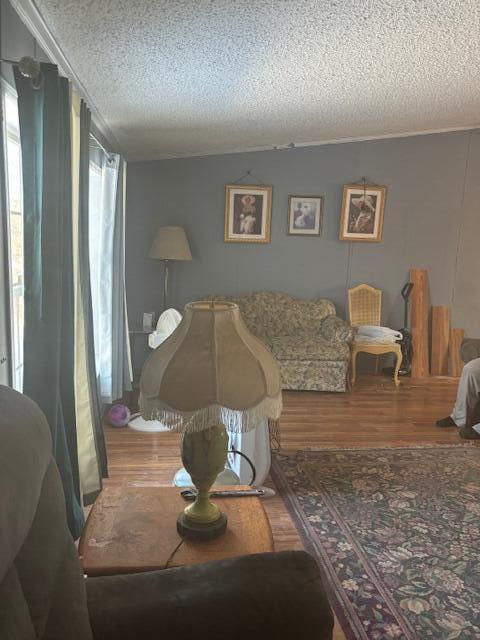 living room with wood-type flooring and a textured ceiling