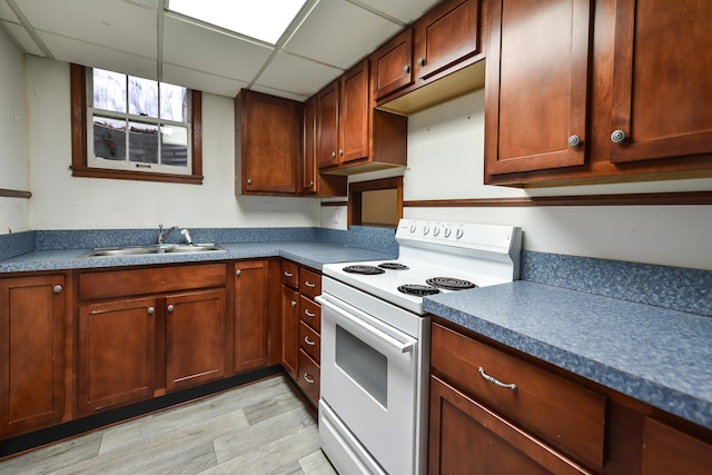 kitchen featuring light hardwood / wood-style flooring, sink, a paneled ceiling, and white range with electric cooktop