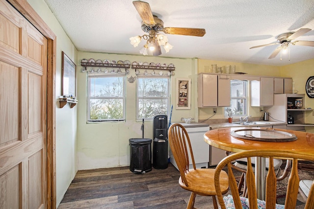 kitchen featuring dark hardwood / wood-style flooring, sink, a textured ceiling, and ceiling fan