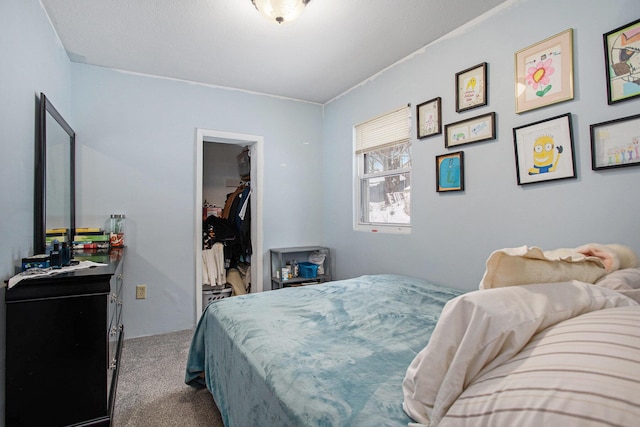 bedroom featuring a walk in closet, carpet flooring, and a closet