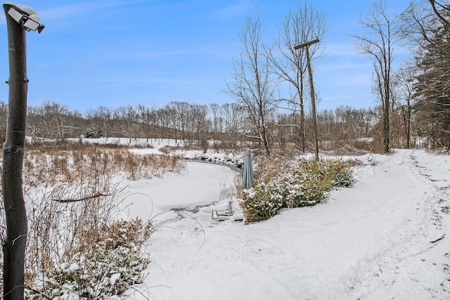 view of snowy yard