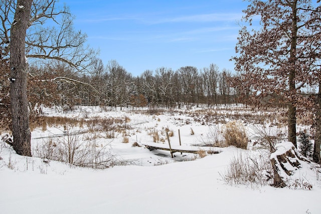 view of yard layered in snow