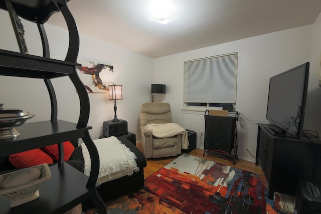 bedroom featuring hardwood / wood-style flooring