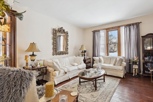 living room with dark hardwood / wood-style floors