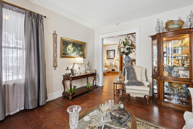 living area with dark wood-type flooring