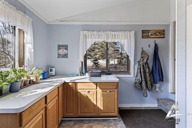 kitchen with wooden walls