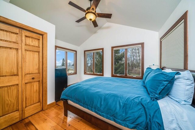 bedroom featuring ceiling fan, light wood-type flooring, vaulted ceiling, and multiple windows