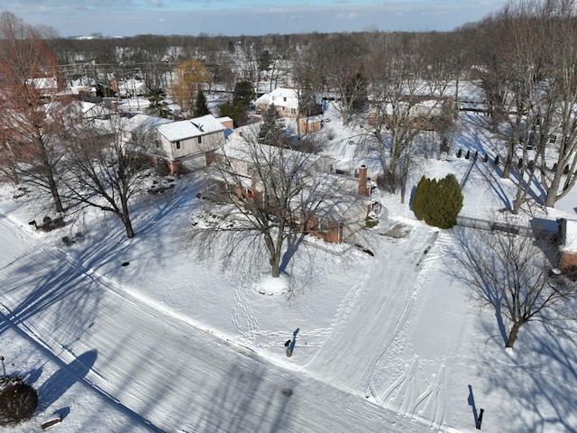 view of snowy aerial view