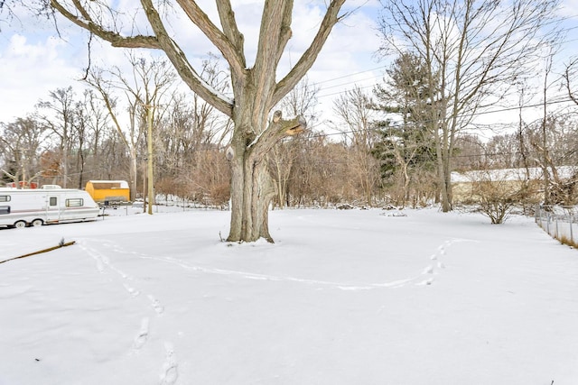 view of yard covered in snow