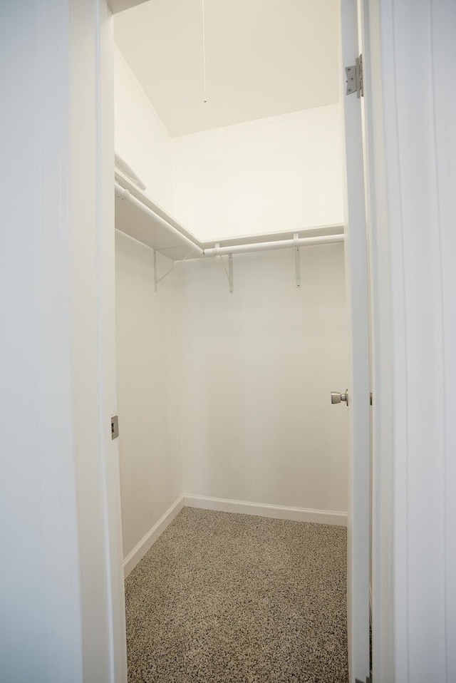 walk in closet with carpet flooring