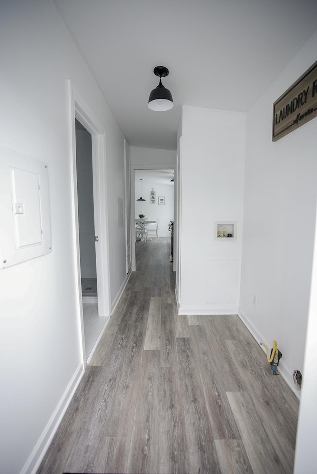 hallway featuring light wood-type flooring and electric panel