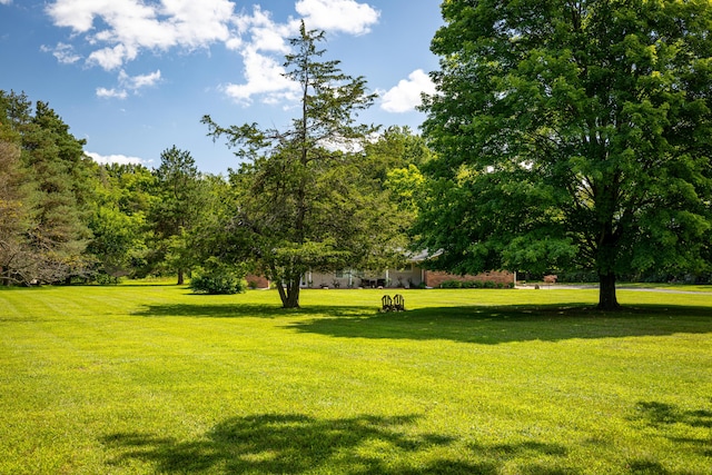 view of property's community featuring a yard