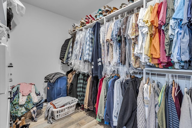 spacious closet with hardwood / wood-style floors