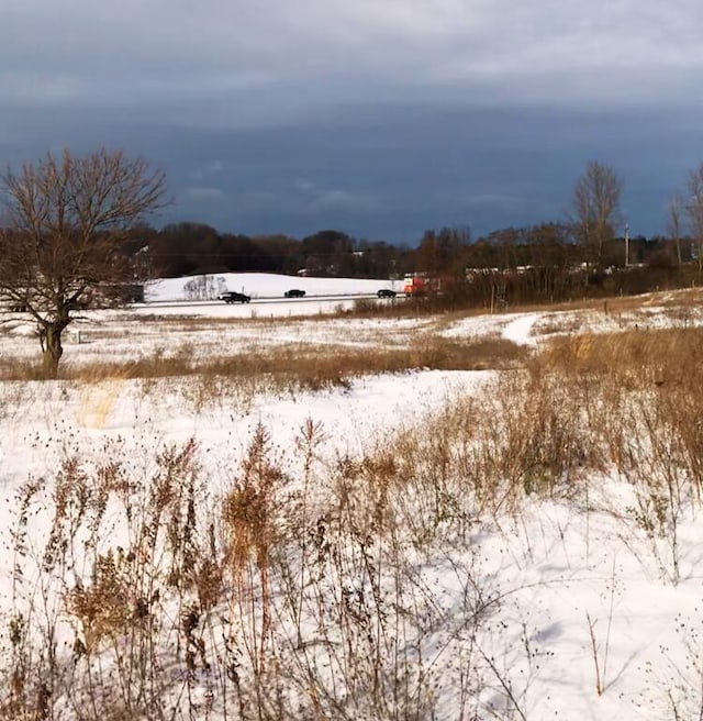 view of yard layered in snow