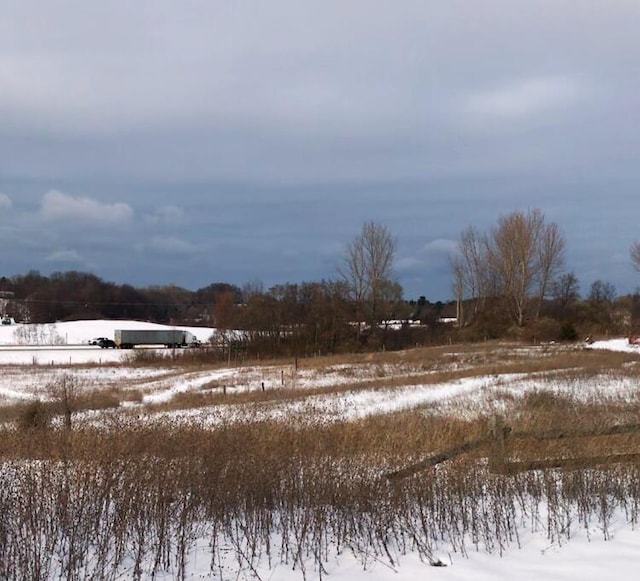 view of snowy yard