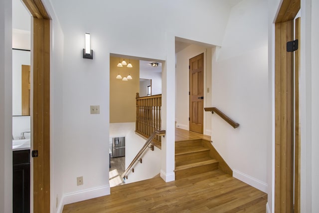 staircase featuring sink and hardwood / wood-style floors