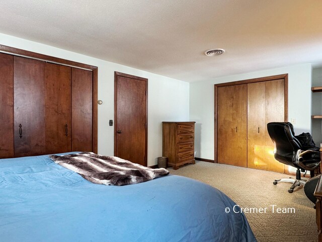 bedroom with carpet floors and two closets