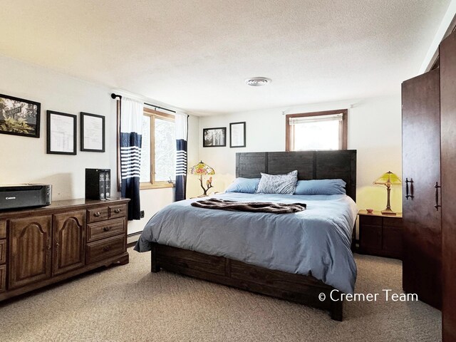 bedroom featuring baseboard heating, multiple windows, a textured ceiling, and light colored carpet