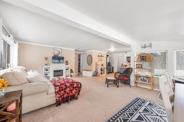 carpeted living room featuring a wealth of natural light and crown molding